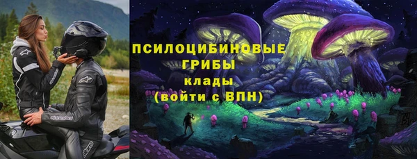 винт Алзамай