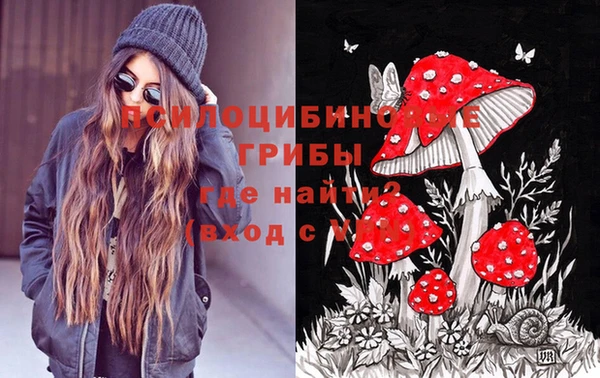 эйфоретик Алексин