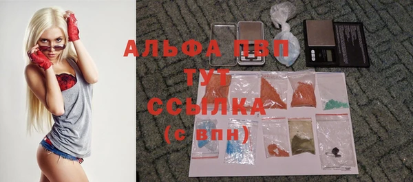 шишки Алексеевка