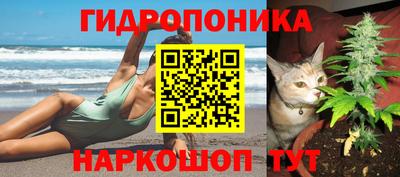каннабис Новокубанск