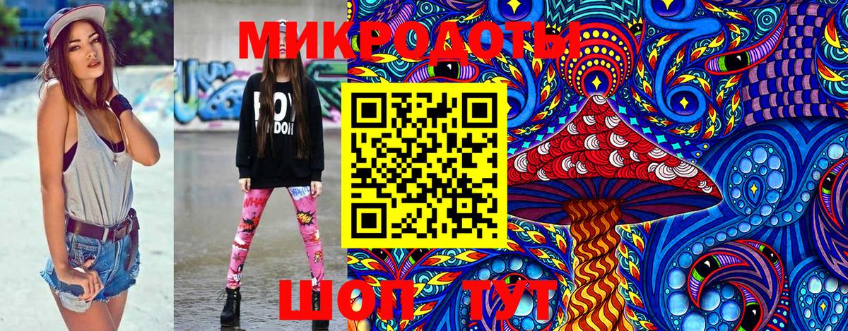 Галлюциногенные грибы Cubensis Чистополь