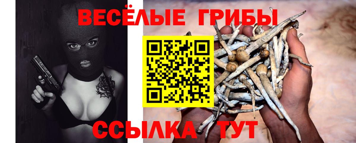 Галлюциногенные грибы Magic Shrooms  Псилоцибиновые грибы ЛСД  Вход с VPN  Чистополь 