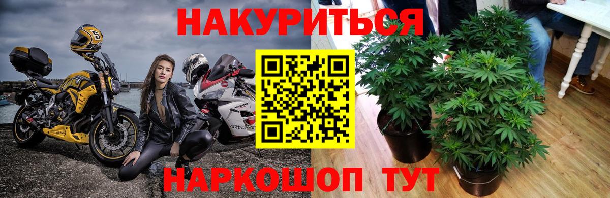 Марихуана план Чистополь
